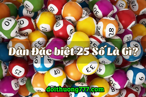 dan dac biet 25 con